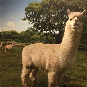 Meet your Posher, Wendy